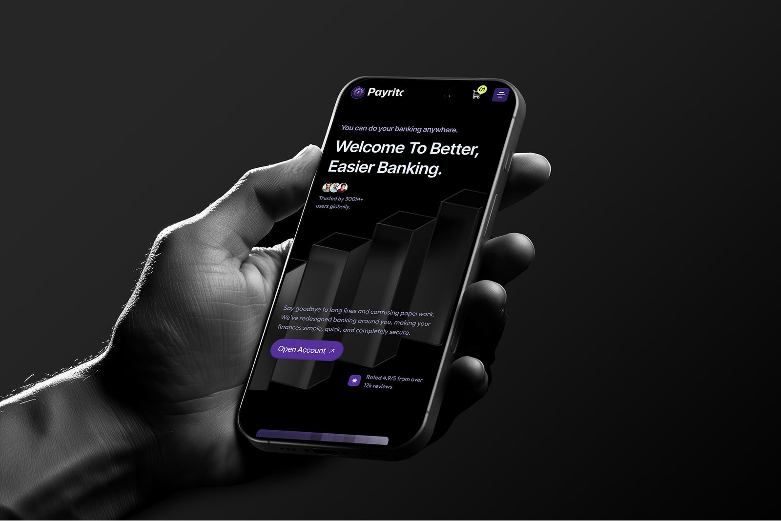 Payrito – Professional Services Website Template