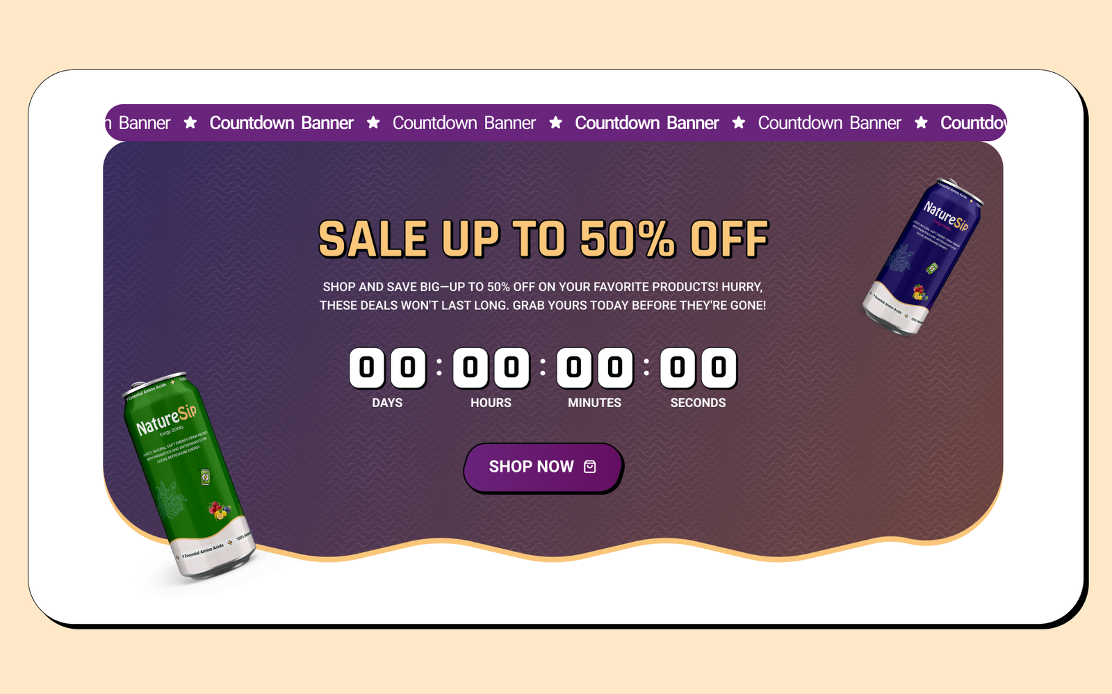 Brand Identity | Website Design